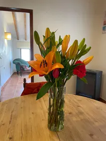 The Loft Pinoso - Image 2
