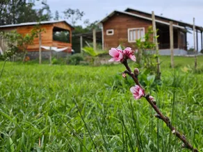 Altos do Lageado Country House - Image 3