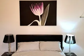 Hideaway Apartment nr. Zipworld - Image 5