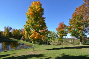 Little Hidden Ravine Retreat - Image 2