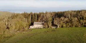 Cottage In The Woods - Image 5
