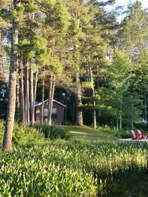 Little Sisu - Nordic Hideaway on Silverthorn Lake - Image 5