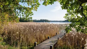 Paradise in the southern archipelago Mörkö - Image 4