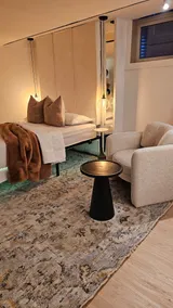Luxurious Private Studio Portion (Basement) - Image 4