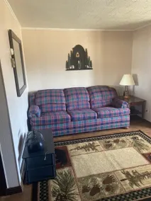 Cozy black bear themed 1 bedroom Apartment # 2 - Image 2