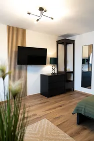 Apartment Manu near Basel-balcony-kitchen-aircon - Image 3