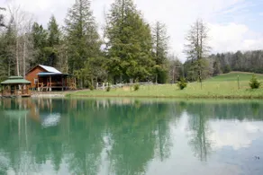 Lazy Day's~ Romantic Cabin at the Pond - Image 5