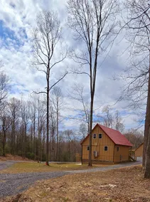 The Cornerstone Cabin, bordering National Forest - Image 5