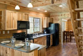 French Creek Cabin | Rock Crest Lodge - Image 3