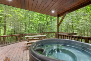 Fern Gulley RRG | Hot tub | PMRP | Hollerwood - Image 2