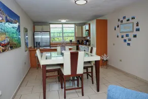 Tropical Heaven 3BR Apart on Vega Baja Beach - Image 4
