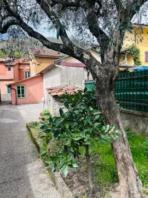 casa lenis - Image 2