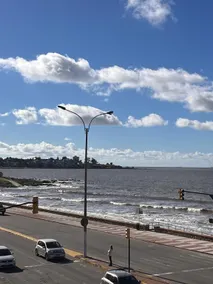 Oceanfront apartment in Montevideo *202* - Image 5