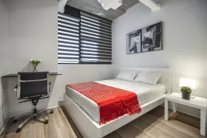 Huge loft I gym I games rm I parking I near U of G - Image 5
