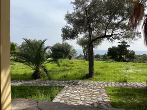 Stone cottage in an olive grove - Image 2