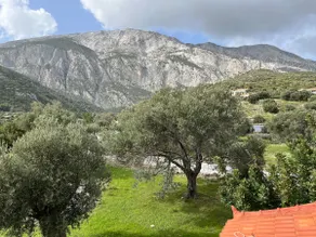 Stone cottage in an olive grove - Image 4