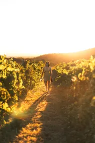 Glenbosch Wine Estate Farm Stays - Image 3