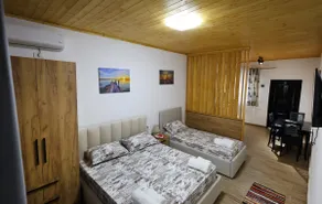 Olive Oasis Berat 1 - Image 2