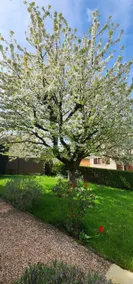 View of the vineyards, veranda and private garden - Image 4
