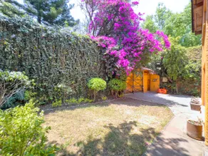 Chapultepec, Polanco, millionaires neighborhood. - Image 3