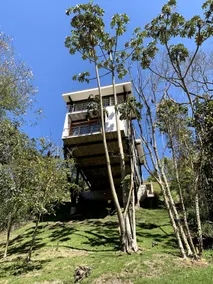 Casa Ipê Amarelo - A refuge in the Serra Carioca - Image 3