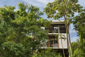 Casa Ipê Amarelo - A refuge in the Serra Carioca - Image 5