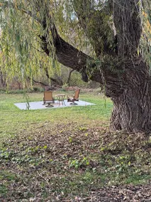 Broken Willow Bungalow - Image 4