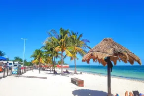 3min to Beach 2BR Apt w/private Pool & near Ferry - Image 2