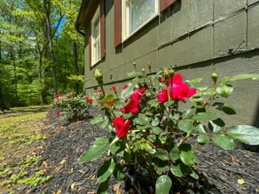 Atlanta Secluded Gem - Image 4