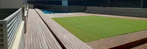 Delta Rice Paddies - Image 2