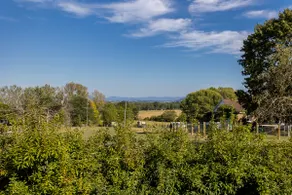 Quiet, off the grid getaway! Hiking and Vineyards! - Image 3