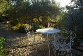 Stone house on Brac with amazing garden and views - Image 3