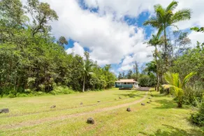 Secluded Forest Retreat - King Suites, AC, Hot Tub - Image 5