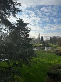 At the park - Image 5