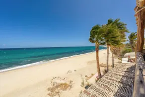 Whale Watching Oceanfront Retreat - Image 4