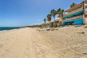 Whale Watching Oceanfront Retreat - Image 3