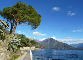 Beaches and the lakefront are 5 minutes away - Image 3