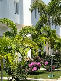 A Piece of Paradise | 2-BR Villa with Pool Access - Image 3