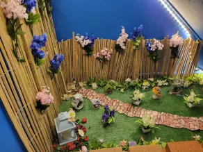 Nature Wonders - Image 3