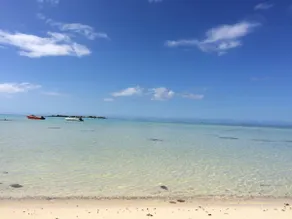 Fare Tanoa Sunset Beach - Image 2
