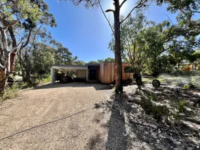Our Bush Block - Image 2