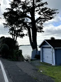 Waterfront Bodega Bay, King /Queen, Wood-Stove - Image 5