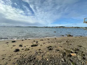 Waterfront Bodega Bay, King /Queen, Wood-Stove - Image 4
