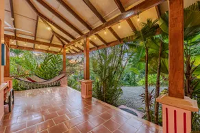 Jungle Oasis - Image 4