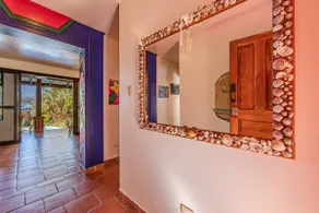 Jungle Oasis - Image 5