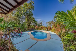 Jungle Oasis - Image 2