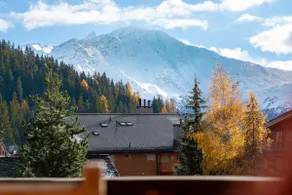 Fantastic apartment in Verbier - Image 5