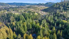 Upscale Newly Remodeled Cabin - Image 4