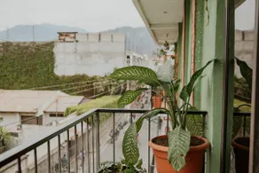 NEW: The Macondo Suite - Image 5