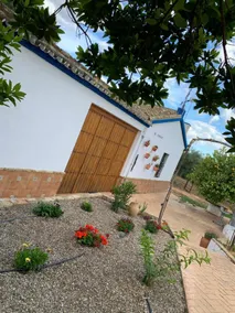 Los Laureles - Casa Luna - Image 3